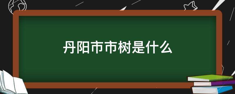 丹阳市市树是什么
