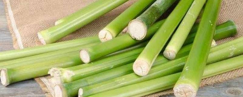 很细的绿色甘蔗叫什么