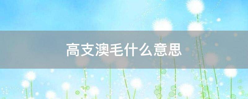 高支澳毛什么意思