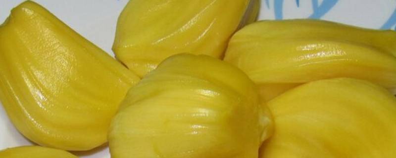 菠萝蜜的白色粘液是什么