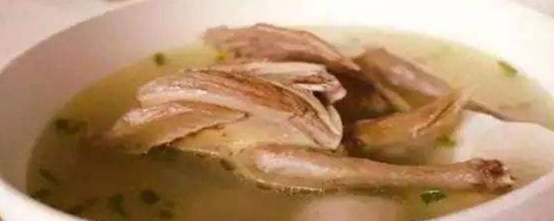 鸽子汤要炖多久