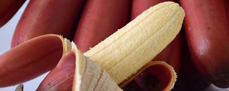 红香蕉和普通香蕉区别
