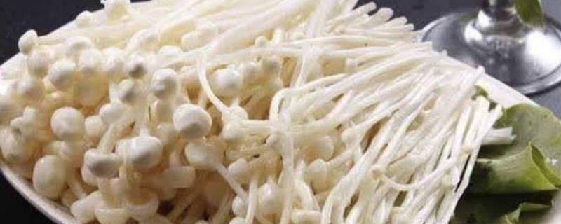 金针菇多久能煮熟