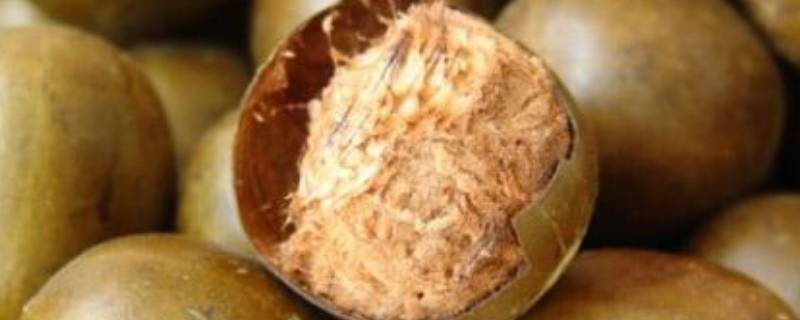 罗汉果煮水要煮多久