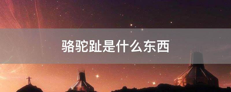 驴的寿命