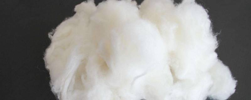 绵羊绒和山羊绒有什么区别