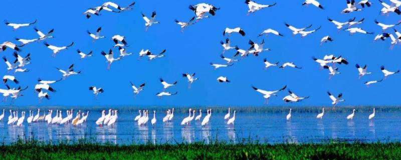 嶓阳湖湖面面积