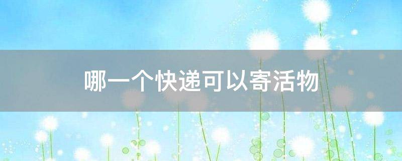 哪一个快递可以寄活物