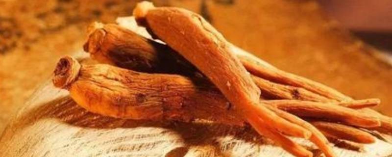 人参蒸多久变成红参