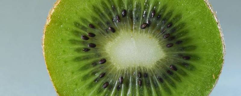 猕猴桃能放几天