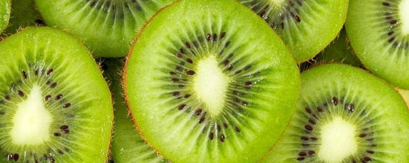 猕猴桃怎么储存