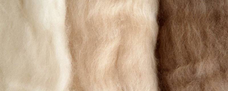 棉羊绒是什么面料