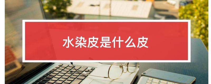 水染皮是什么皮