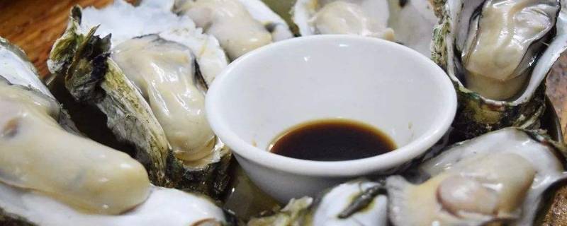 生蚝里面白色的浆是什么