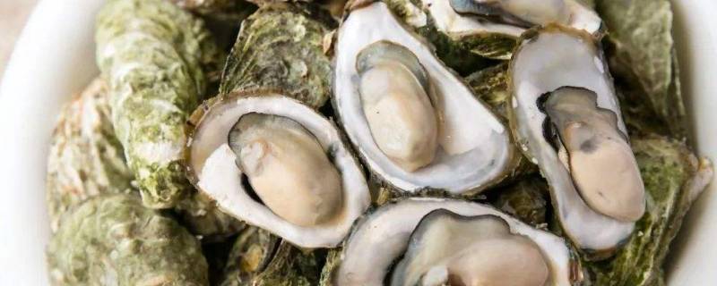 生蚝长在什么地方的