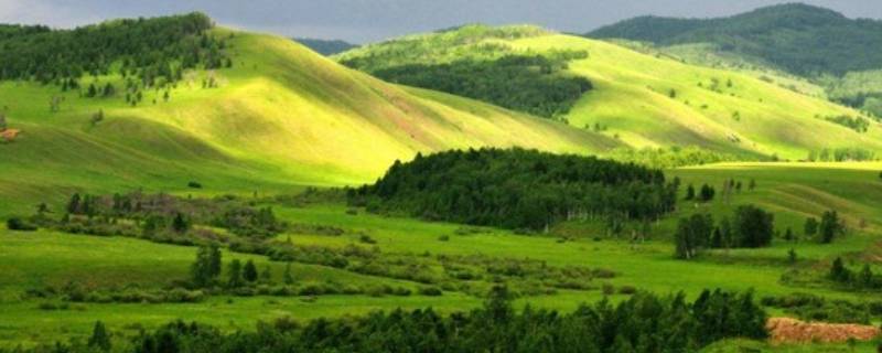 南温带气候特点