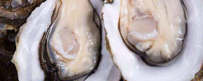 生蚝蒸多久才可以吃
