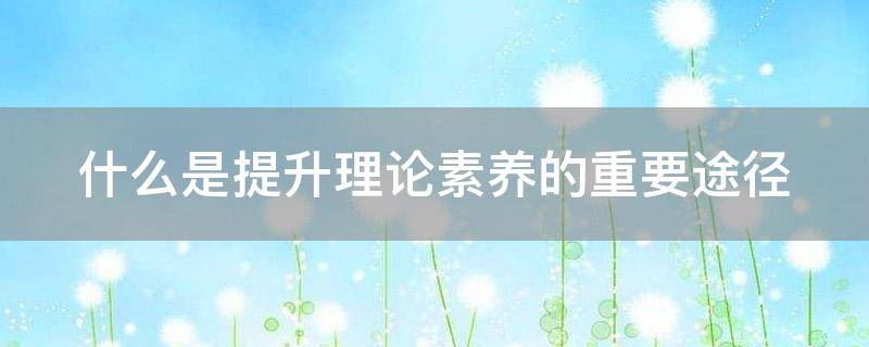 什么是提升理论素养的重要途径