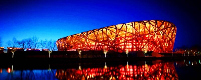 鸟巢有多大