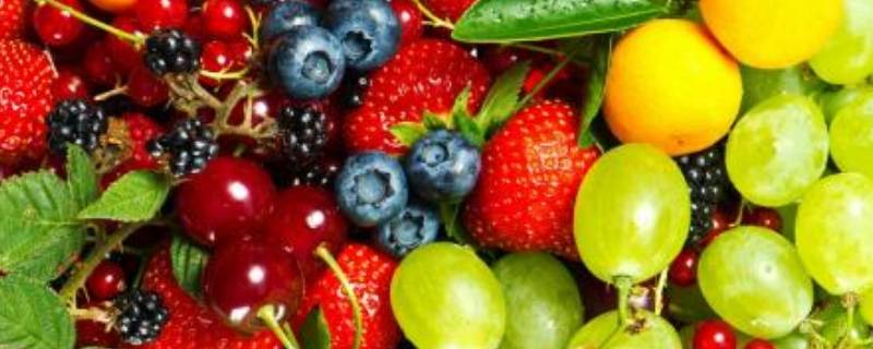 什么水果可以酿酒