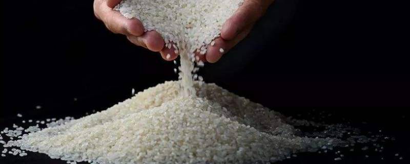 水晶米是什么米