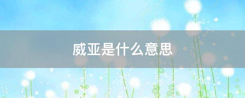 威亚是什么意思