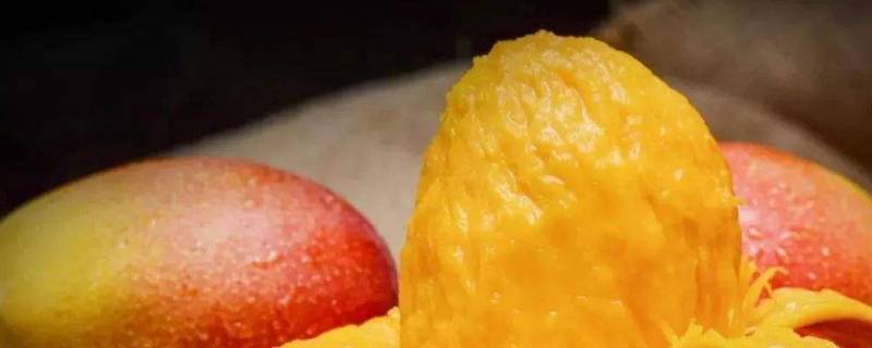 生芒果切开了还能放熟吗