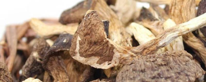 松菌怎么长期保存