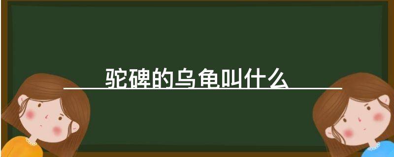 驼碑的乌龟叫什么