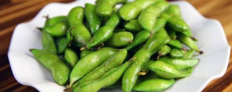 新鲜毛豆怎么保存到冬天