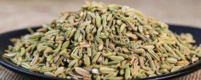 小茴香能代替孜然吗