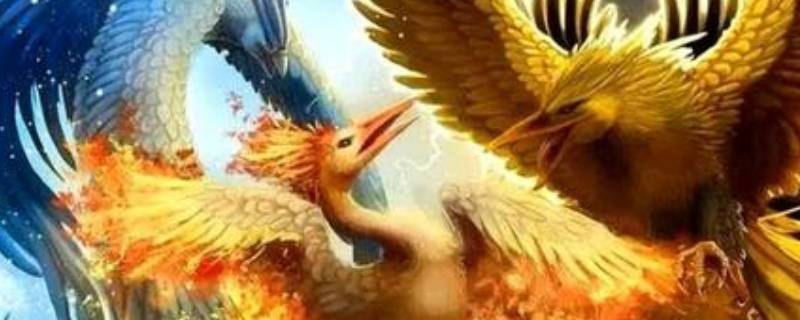 玄鸟是什么鸟