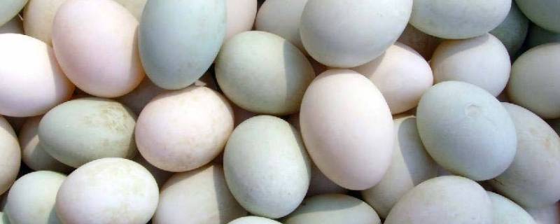 鸭蛋放冰箱能保存多久