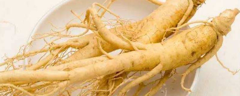 新鲜人参怎样清洗才干净
