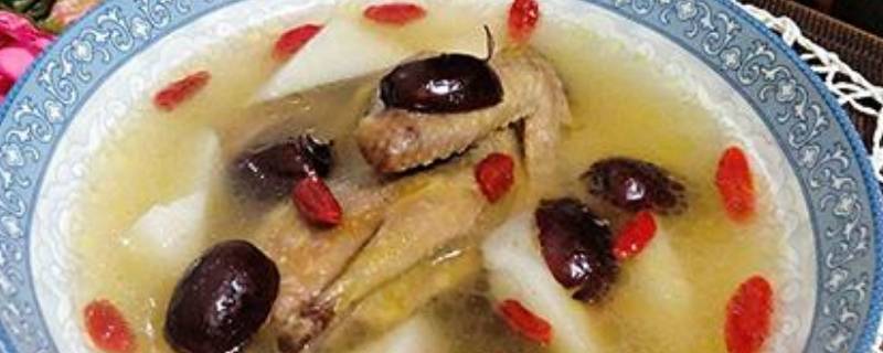 鸽子汤用老鸽还是乳鸽