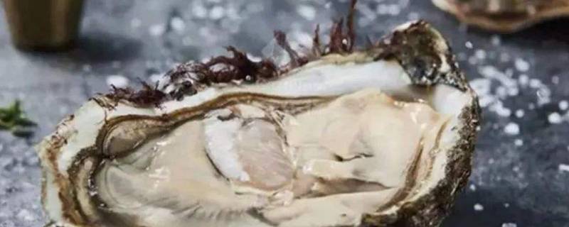 海蛎子蒸好后就直接能吃吗