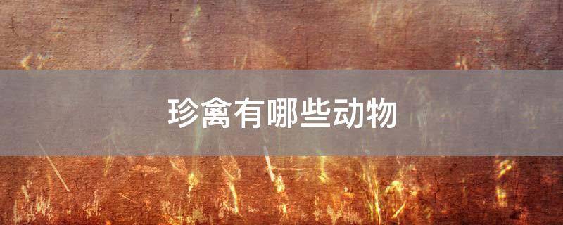 珍禽有哪些动物