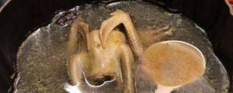 鸽子汤开水炖还是冷水