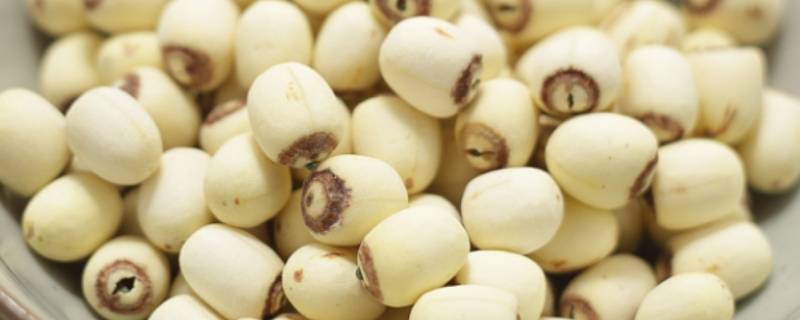干莲子泡用冷水还是开水泡