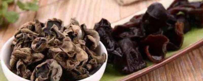 干木耳泡开可以生吃吗