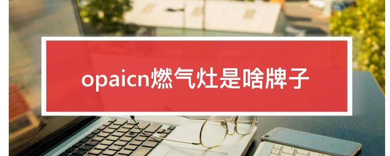 opaicn燃气灶是啥牌子