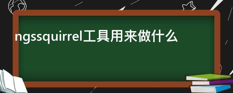 ngssquirrel工具用来做什么