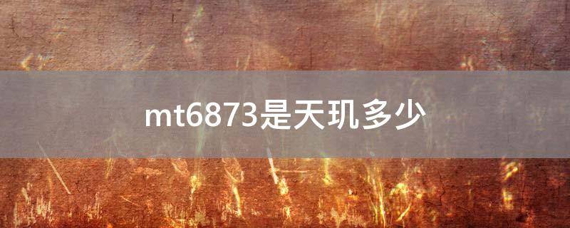 mt6873是天玑多少