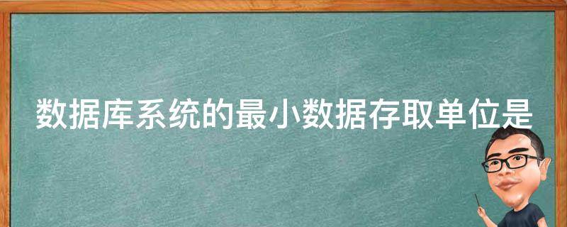 数据库系统的最小数据存取单位是