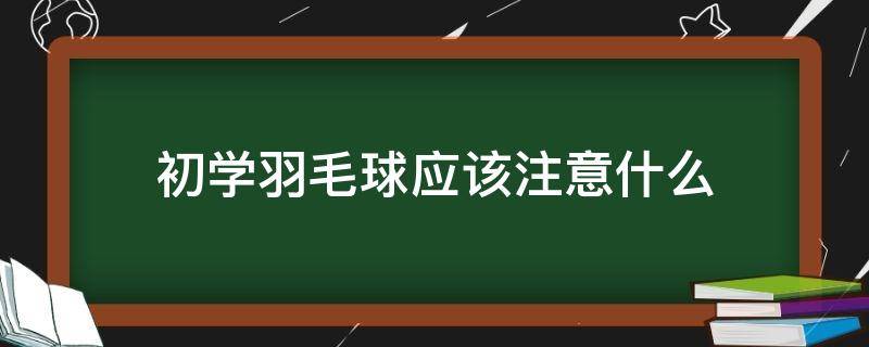初学羽毛球应该注意什么