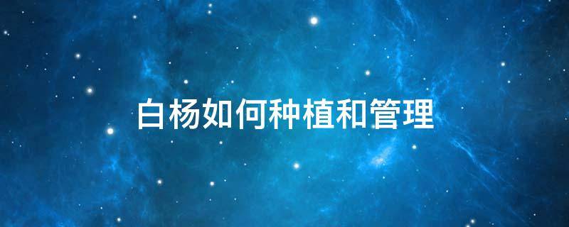 白杨如何种植和管理