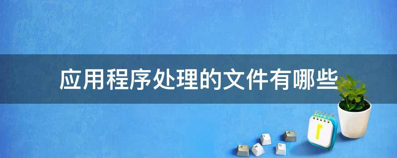 应用程序处理的文件有哪些