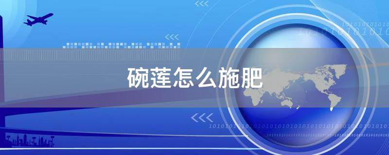 碗莲怎么施肥