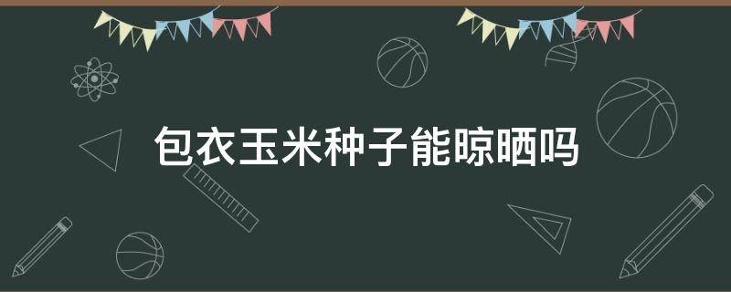 包衣玉米种子能晾晒吗