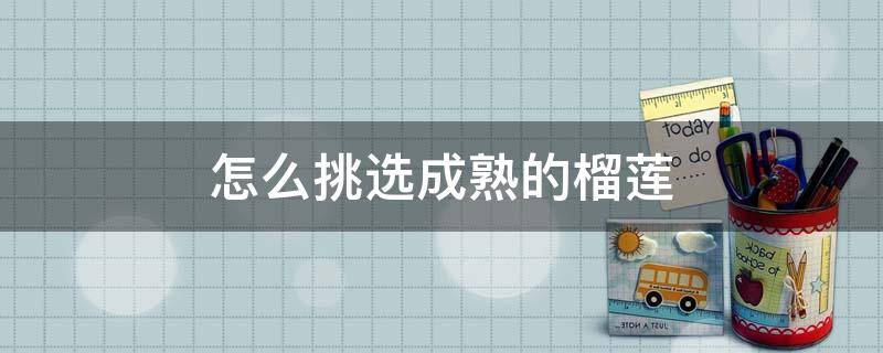 怎么挑选成熟的榴莲